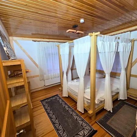 Nefes Echoes By The Woods Uludag (Bursa)