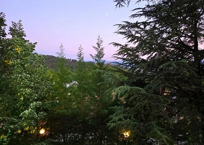 Domek alpejski Nefes Echoes By The Woods Uludag (Bursa)